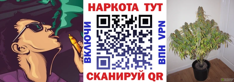 Виды наркоты Чкаловск Каннабис  Меф 