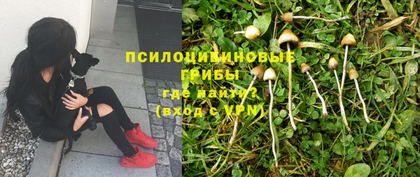 spice Волоколамск