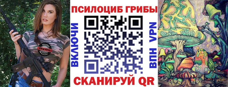 где можно купить наркотик  Чкаловск  Псилоцибиновые грибы ЛСД 